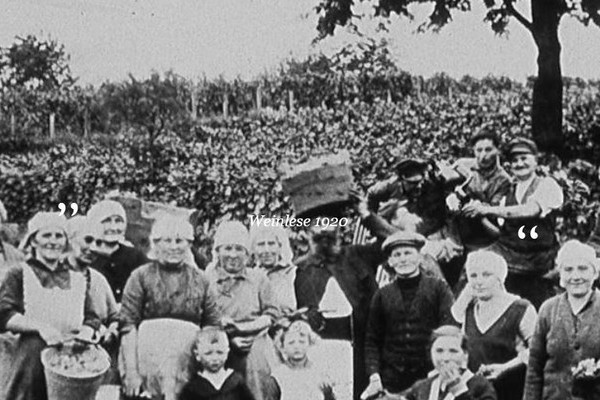 Familie Seeger legt bei der Weinlese 1920 eine kurze Pause ein